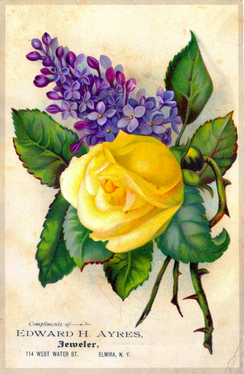 (553 KB) (Click on Picture to View Full Size) picture
