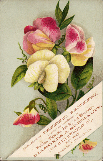 (563 KB) (Click on Picture to View Full Size) picture