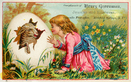 (373 KB) (Click on Picture to View Full Size) picture