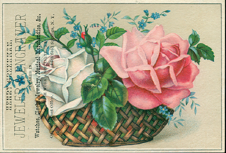 (403 KB) (Click on Picture to View Full Size) picture