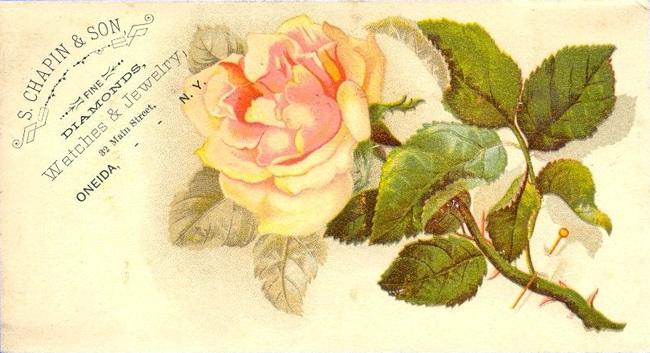 (674 KB) (Click on Picture to View Full Size) picture