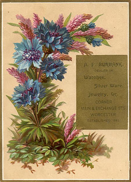 (827 KB) (Click on Picture to View Full Size) picture