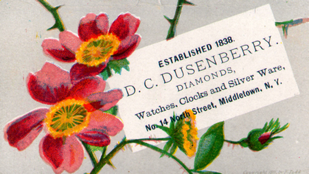(335 KB) (Click on Picture to View Full Size) picture