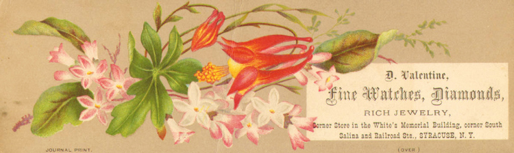 (493 KB) (Click on Picture to View Full Size) picture