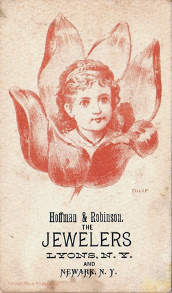 (313 KB) (Click on Picture to View Full Size) picture