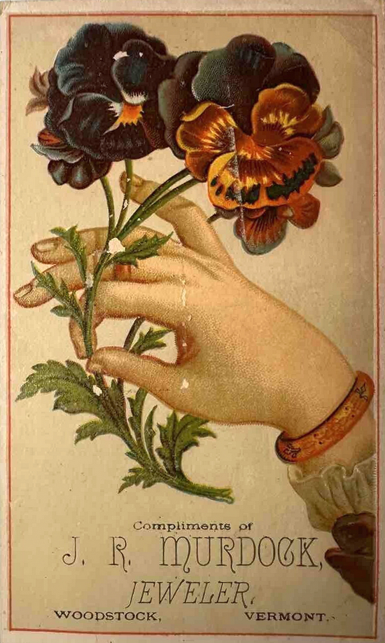 (1484 KB) (Click on Picture to View Full Size) picture