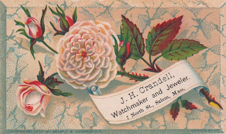 (353 KB) (Click on Picture to View Full Size) picture
