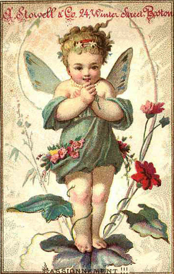 (534 KB) (Click on Picture to View Full Size) picture