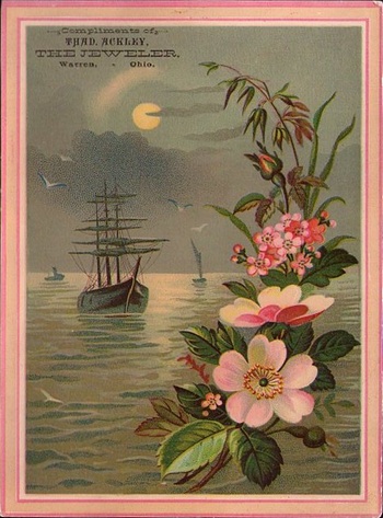 (487 KB) (Click on Picture to View Full Size) picture